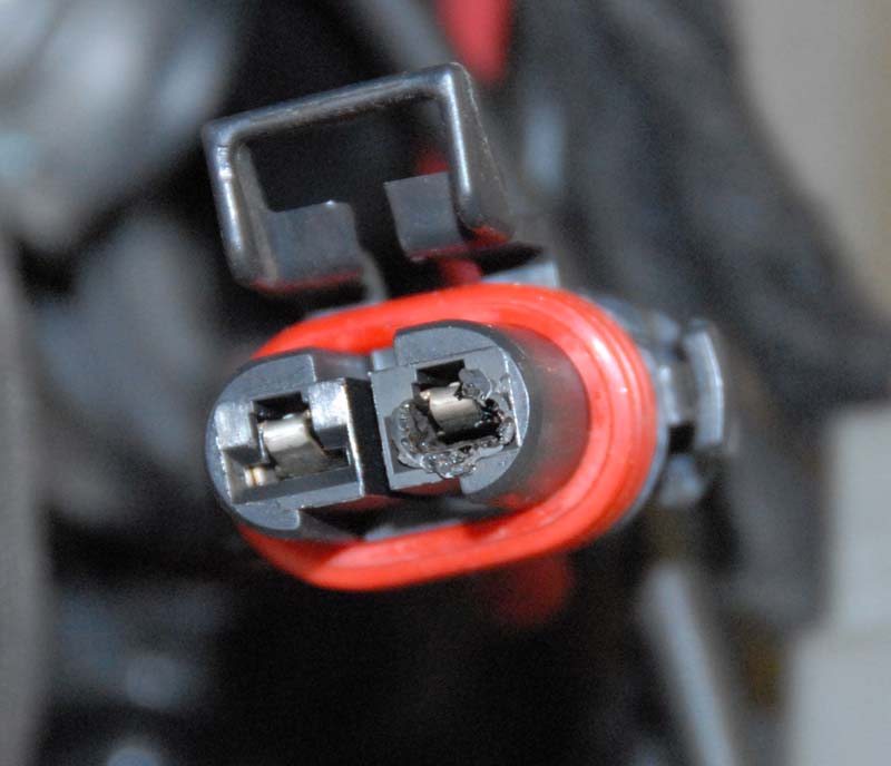 Burnt Plug (female side)