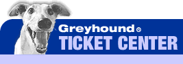 Grayhound Aussie