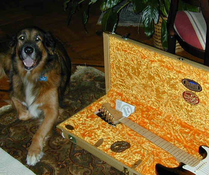 Oooooopppss.....how did I know it was a guitar case??...you said "NOT ON THE CARPET"