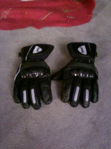 Gloves2