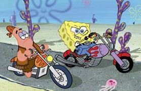 Spongy Rider