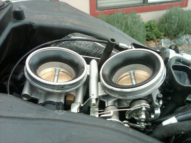 Stock Intakes