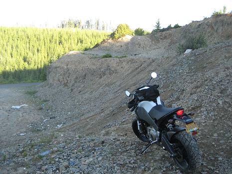 Off track in Mount Hood National Forest
