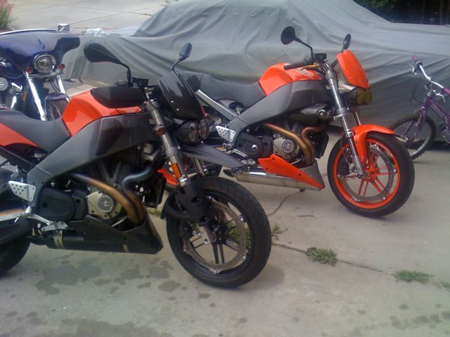 Which Buell ?