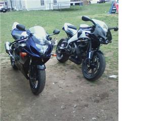 my buell and my friends gsxr