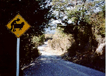 local kansaas road sign