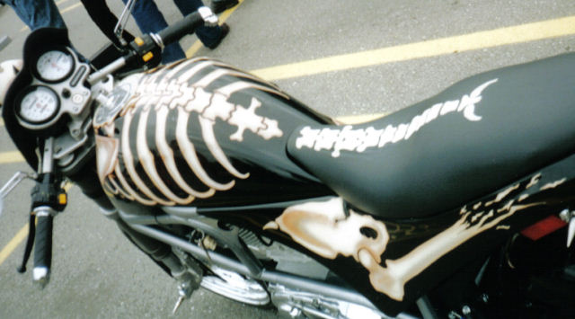 Skeleton S1 4