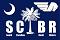 South Carolina Buell Riders logo prototype thumbnail