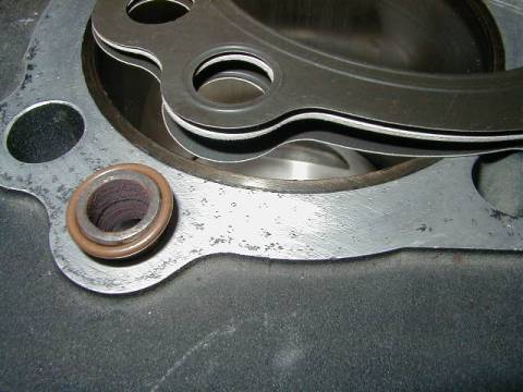 O-ring and Cometic Head gasket
