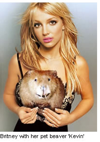Britney's Beaver
