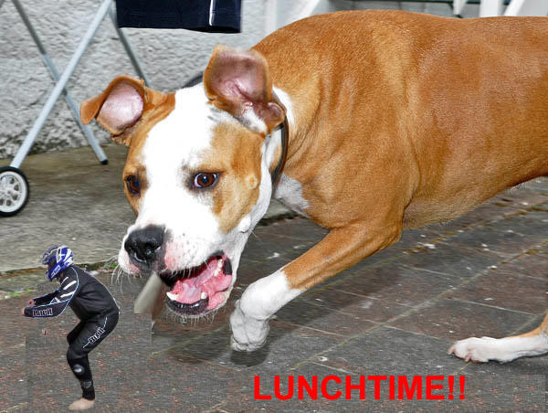 LUNCHTIME!!