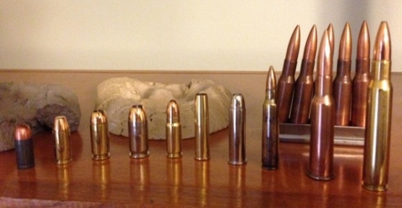 Can you identify the cartridges?