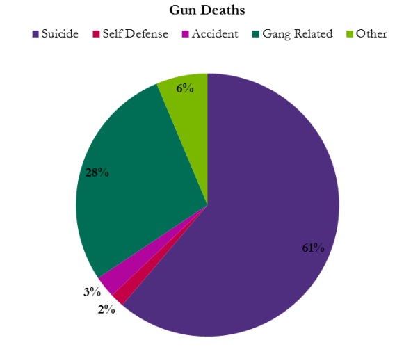 Just 6% of gun related deaths in U.S. are non-gang murders