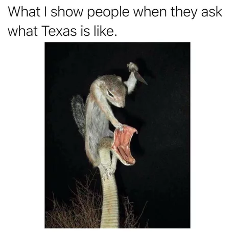 texas