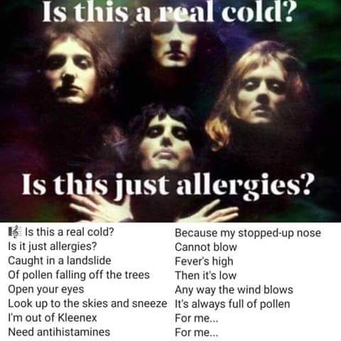 allergiesQueen