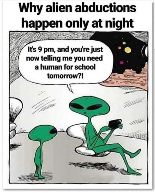 stupid alien