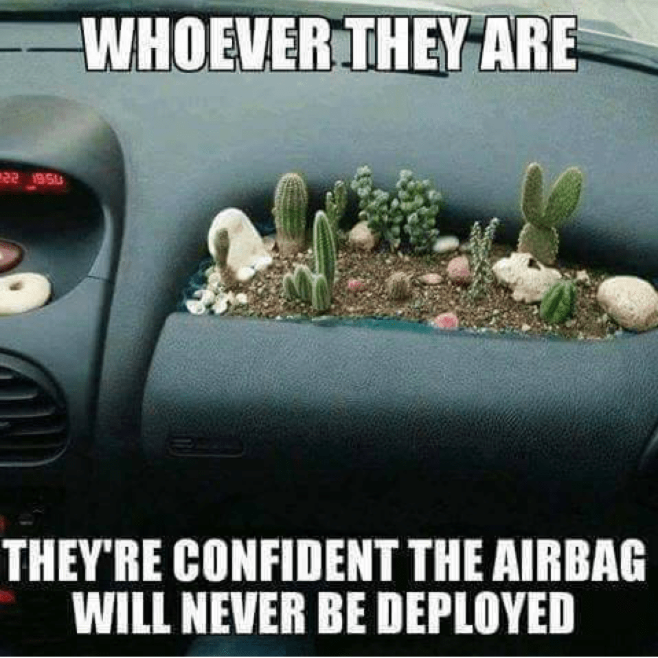 airbagcactus