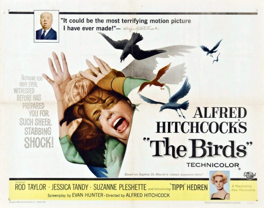 HITCHCOCK THE BIRDS