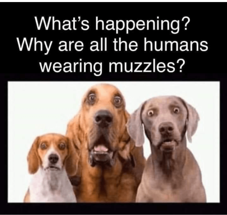 humansMuzzles