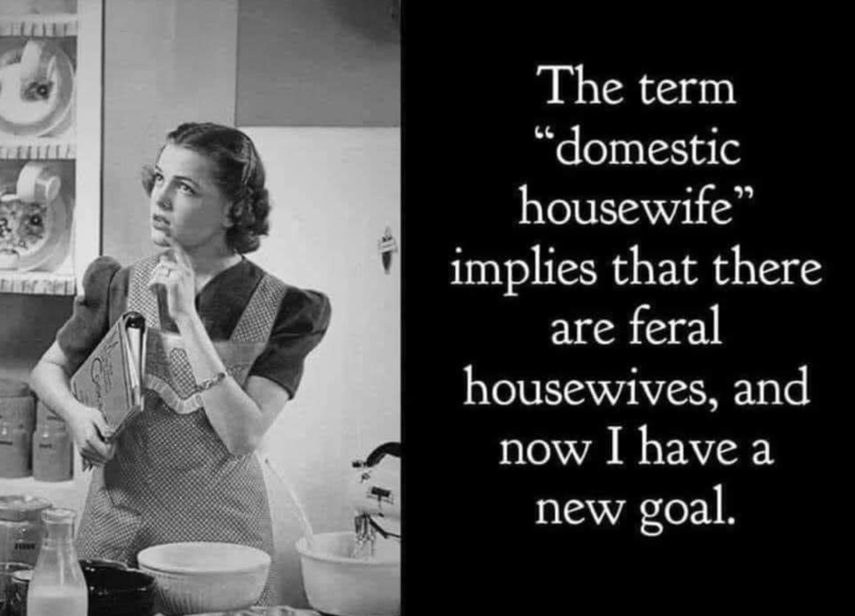 housewife1