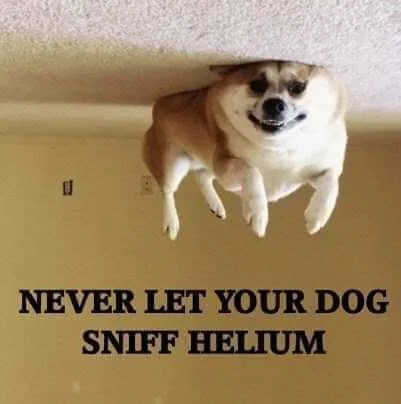 heliumdog