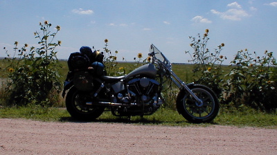 the fxr on the way back from black hills last summer