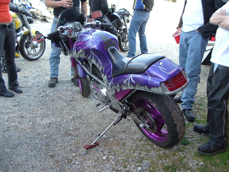 Purple S2 1