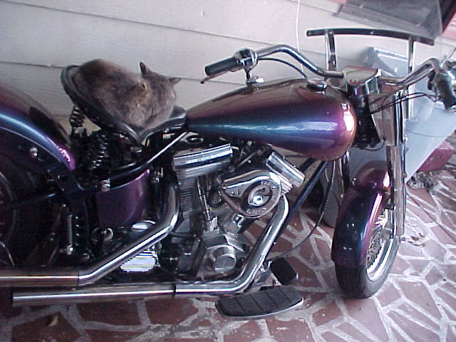 Keck motor in a soft tail frame