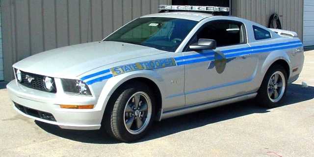 SCHP Mustang