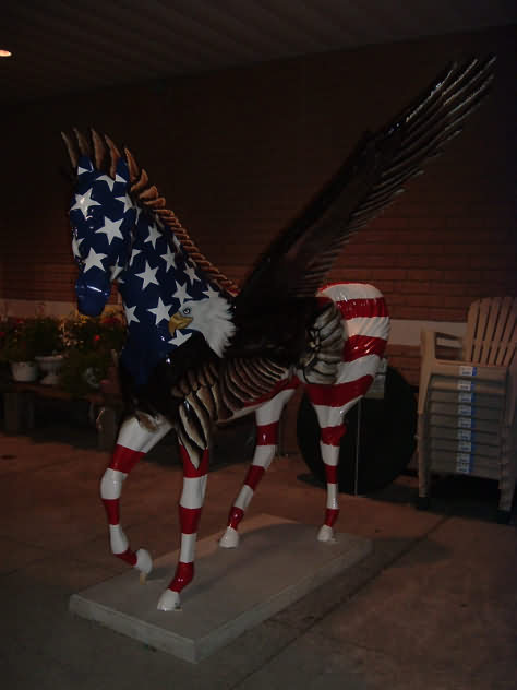 American Pegasus