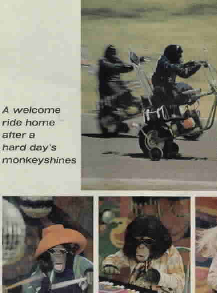 wheelie monkey