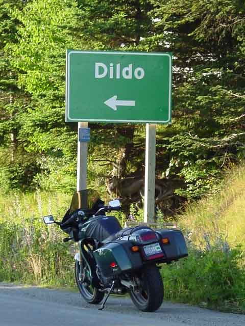 Dildo1