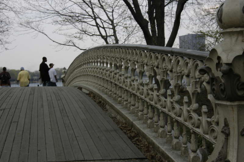 Bridge - Central Park