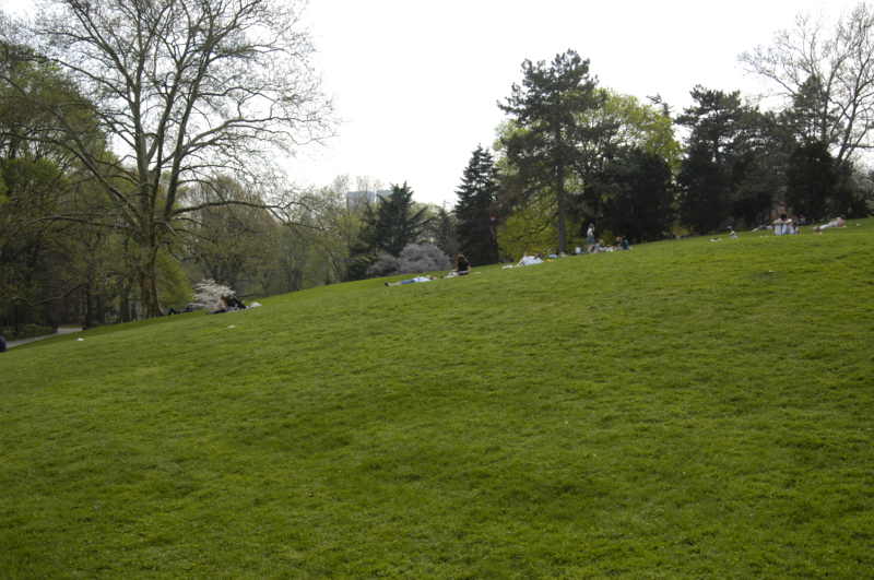  Central Lawn 